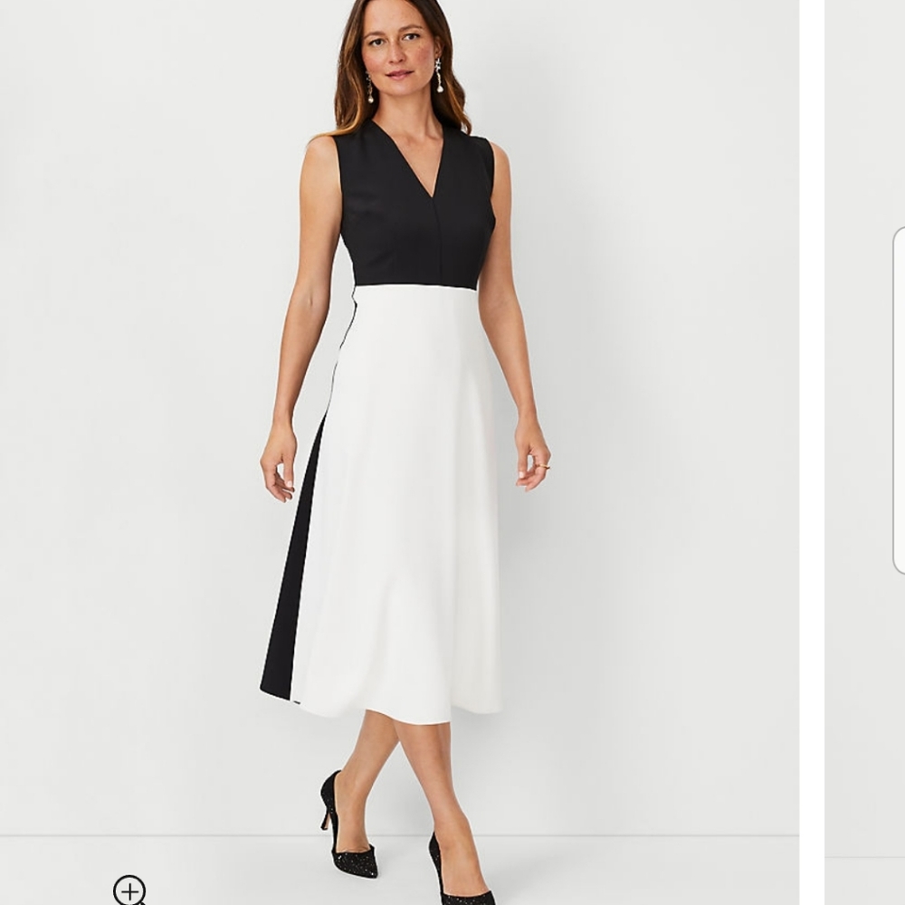 Lot of 5 ANNE TAYLOR Brand New Dresses size 4. New with tags!!